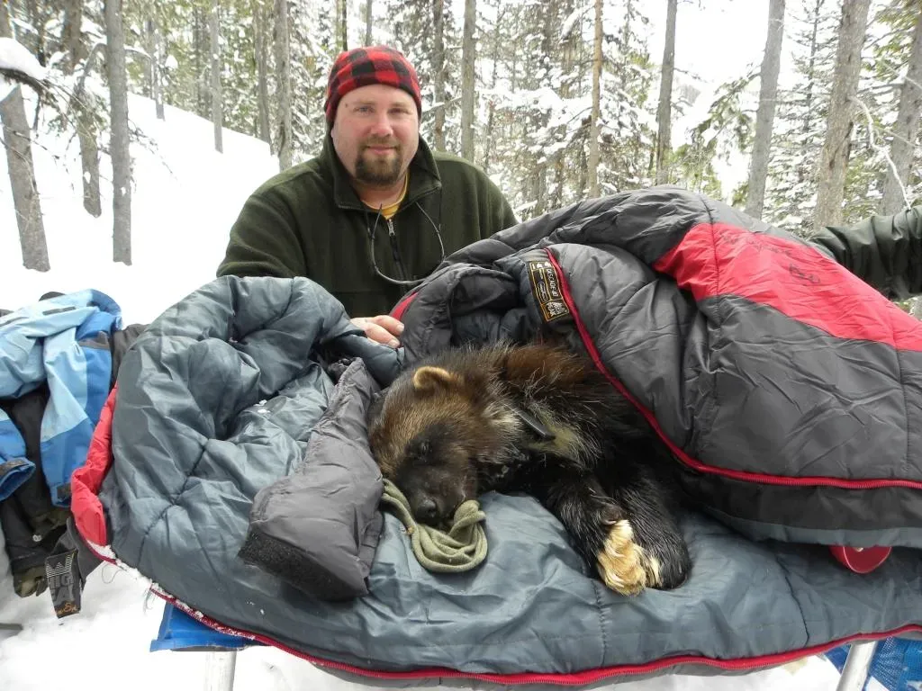 5. You Have an Unusual Emotional Tolerance for the Difficult Side of Nature (Image Credits: Wikimedia)