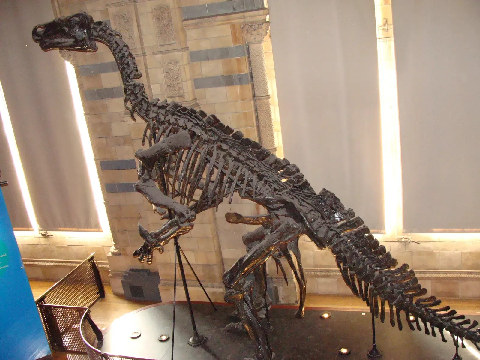 #9 - Missing Bones Are Sculpted Guesses, Not Fossils (By Fernando Losada Rodríguez, CC BY-SA 4.0)