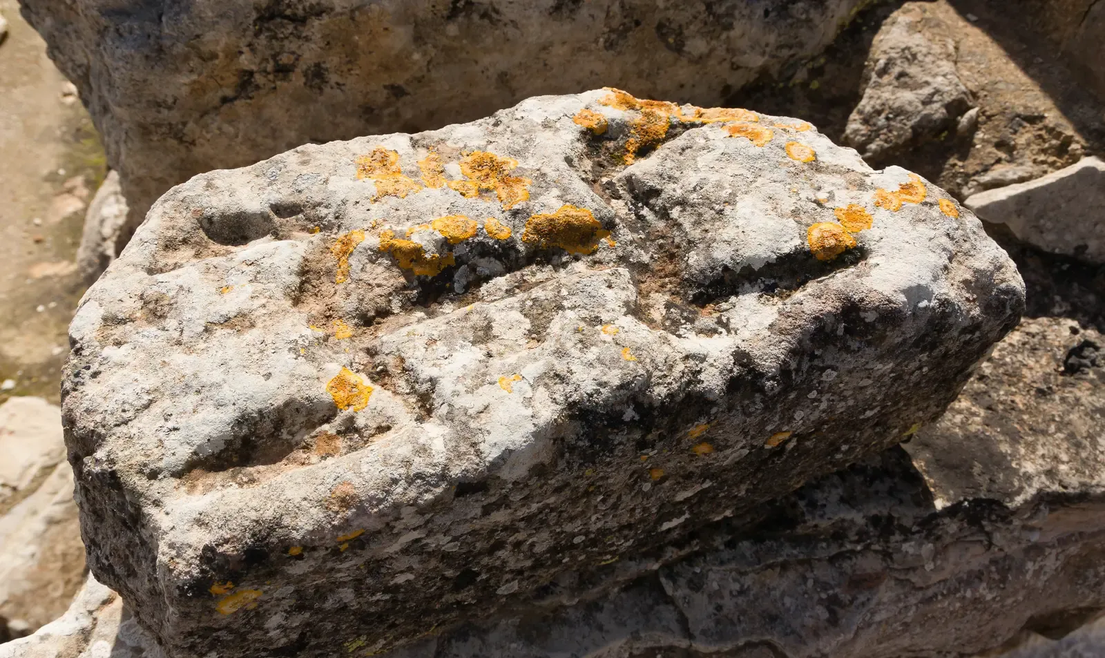 Engraved Stones Reveal Early Artistic Expression (Image Credits: Wikimedia)