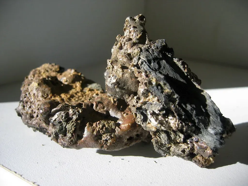 Myths Busted: The Real Story Behind “Paleo” And Hunter‑Gatherer Diets (the_other_ben, Flickr, CC BY-SA 2.0)