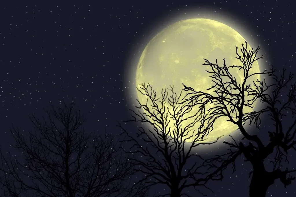 4. The Moon Hung Uncomfortably Close (Image Credits: Rawpixel)