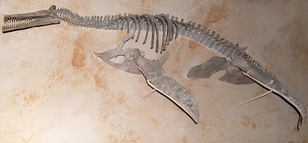 How Its Lightning-Fast Jaws May Have Worked (paleo_bear, Flickr, CC BY 2.0)