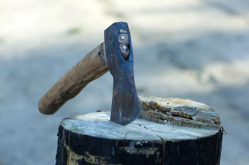 #1 - The Copper Axe That Made Him a VIP (Image Credits: Pexels)