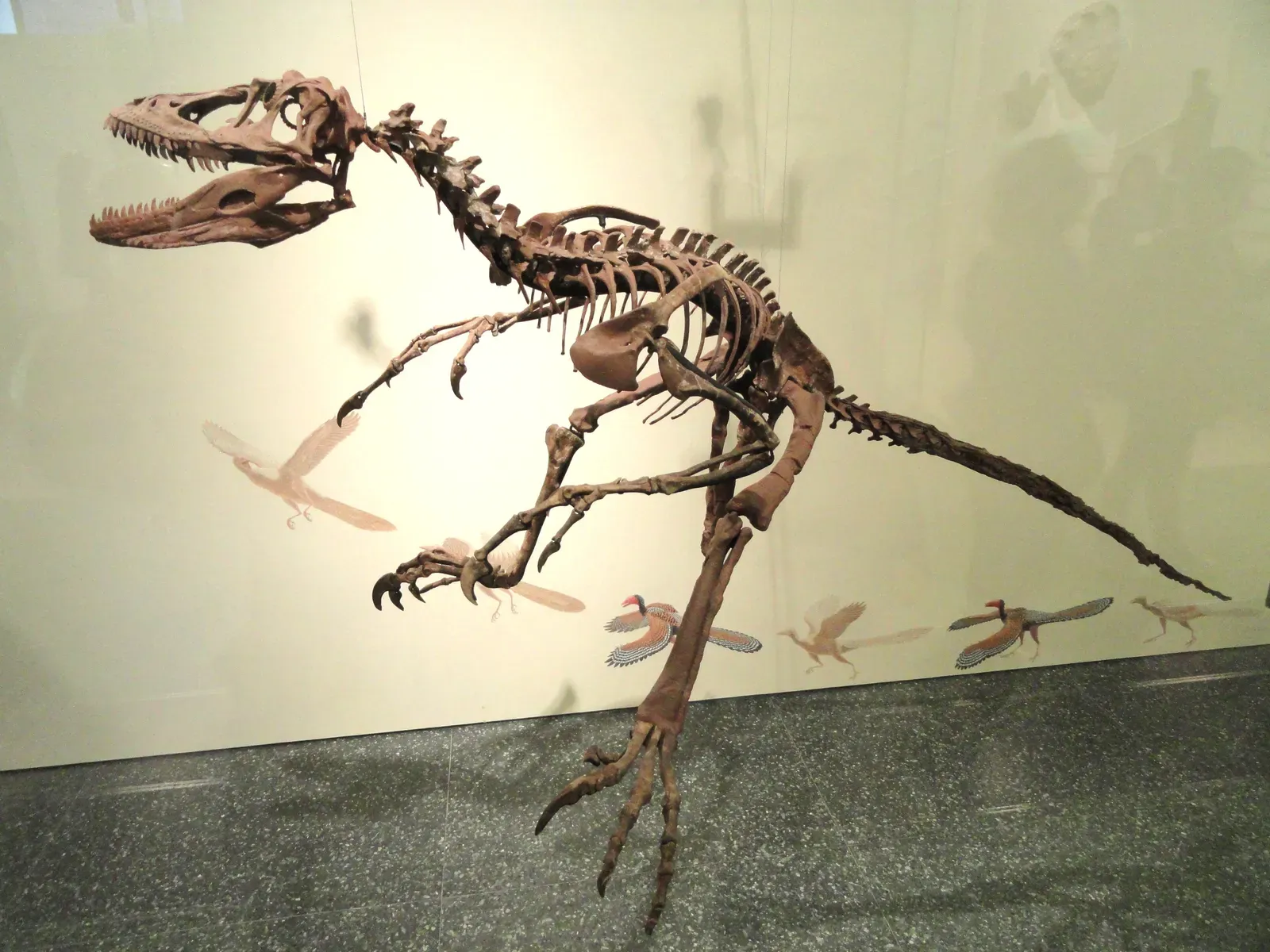 7. Deinonychus: The Discovery That Sparked a Dinosaur Renaissance (By Daderot, CC0)