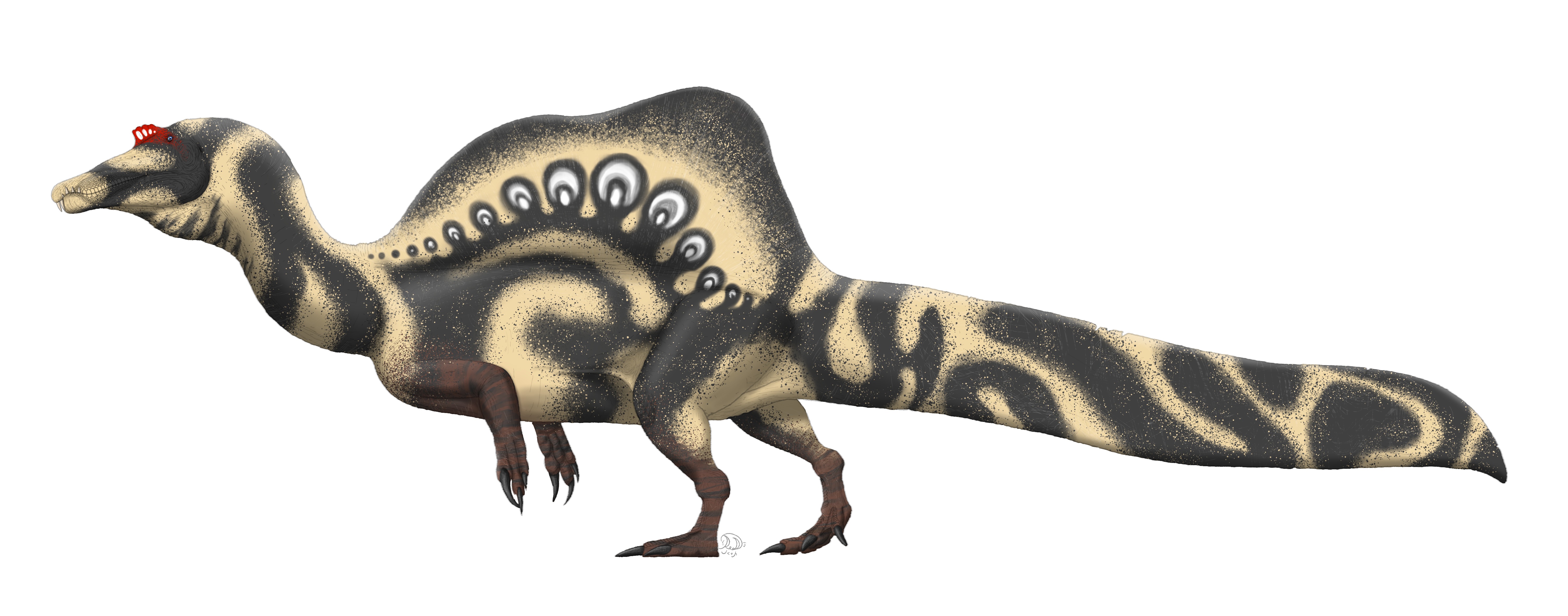 Spinosaurus - The Aquatic Giant (Image Credits: Wikimedia)