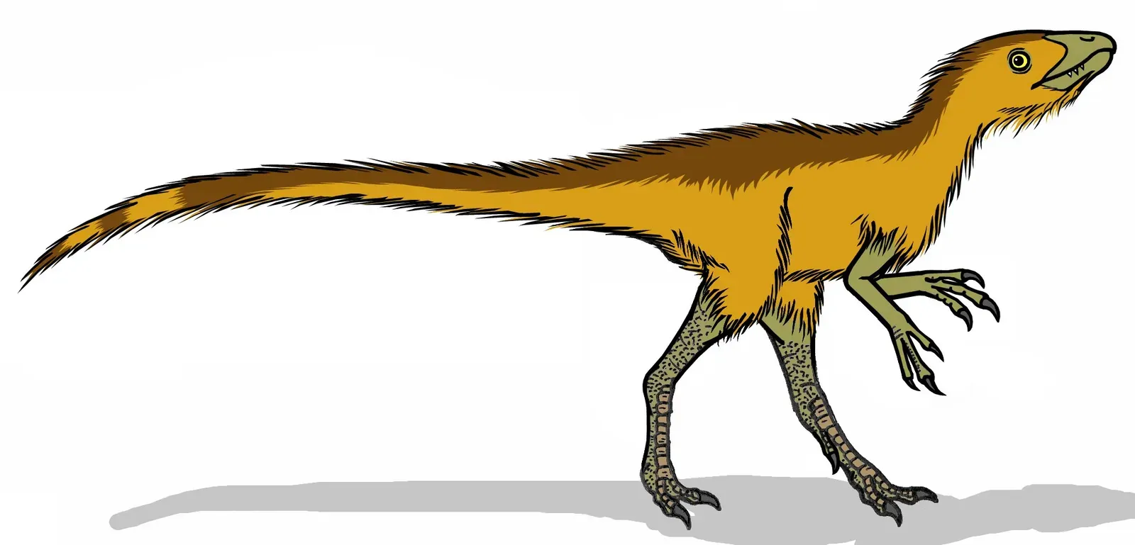 A Fossil That Changed How Paleontologists Study Dinosaurs (By Conty, CC BY 3.0)