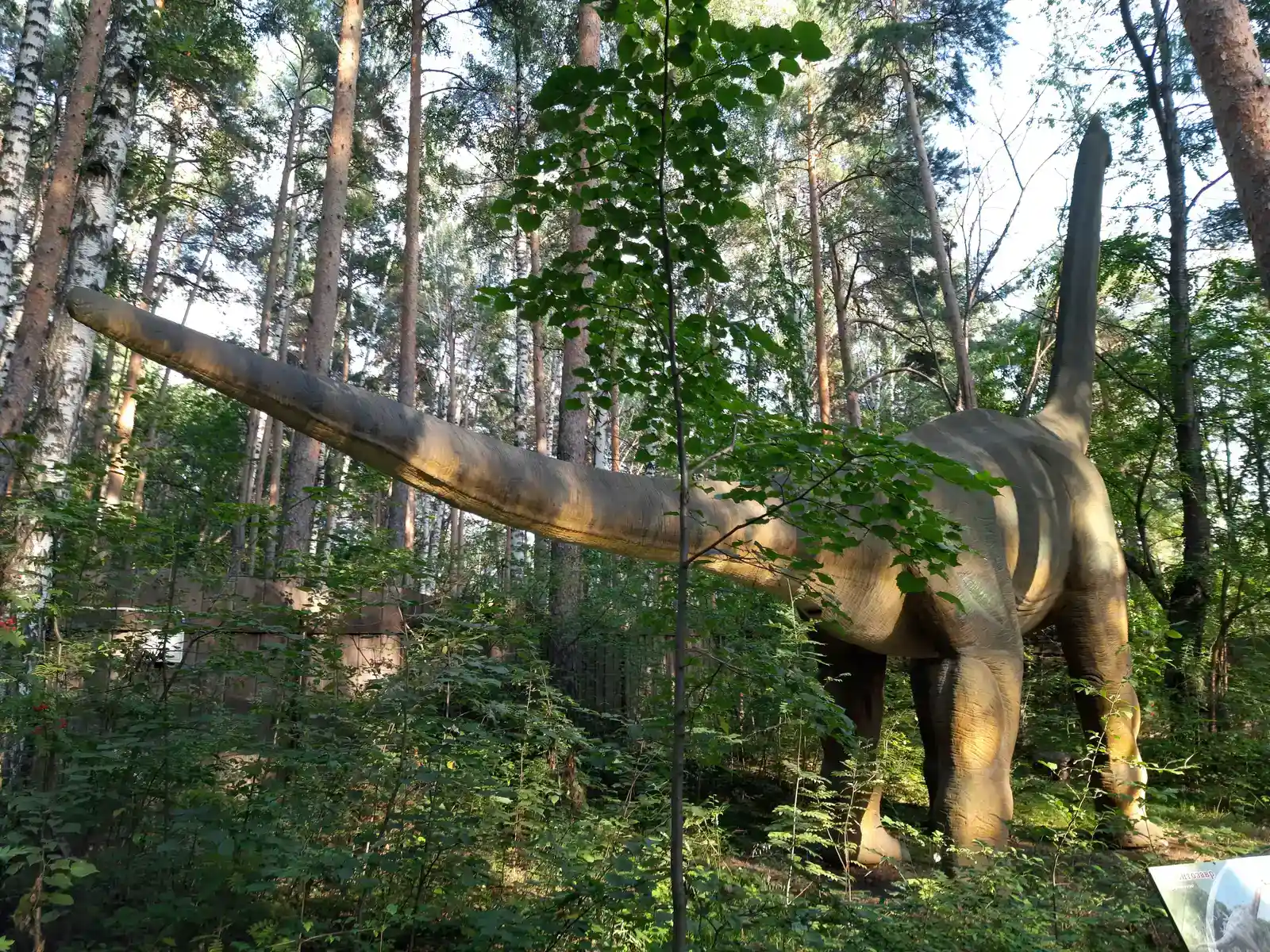 Would You, or Anyone Like You, Even Exist? (Image Credits: Wikimedia)