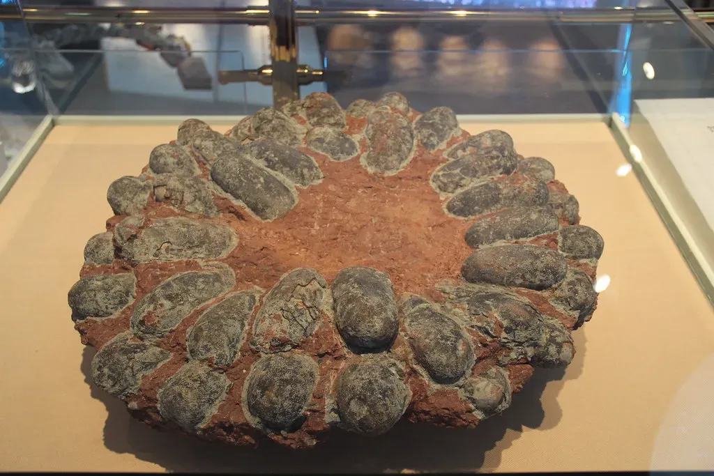 Conclusion: The Fossil Record Is Still Rewriting the Story (Image Credits: Flickr)