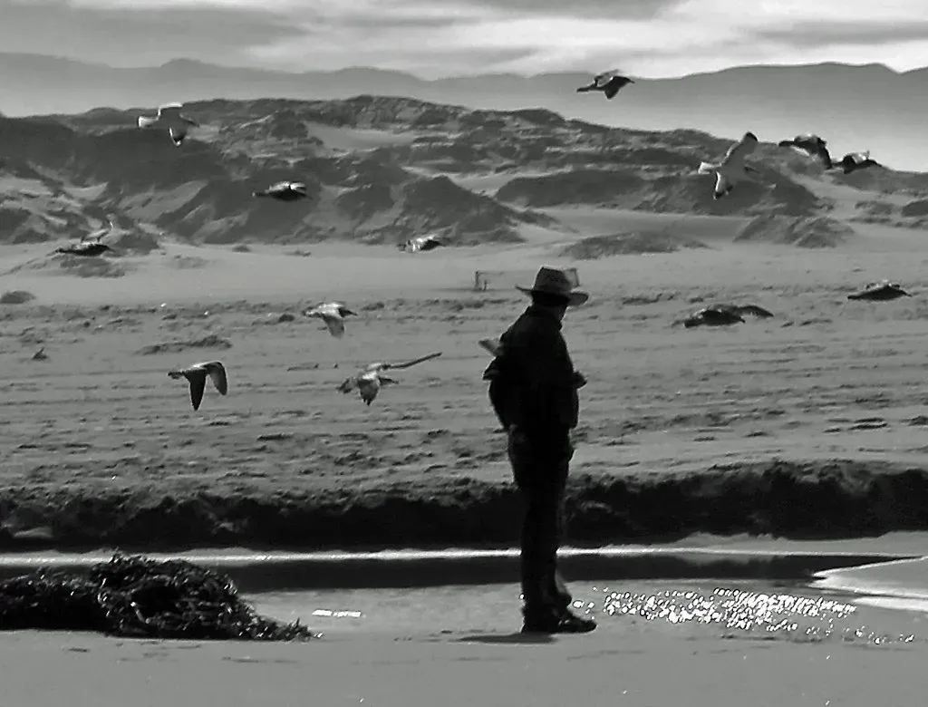 You Walk Your Own Path - Even When No One Follows (Rennett Stowe, Flickr, CC BY 2.0)