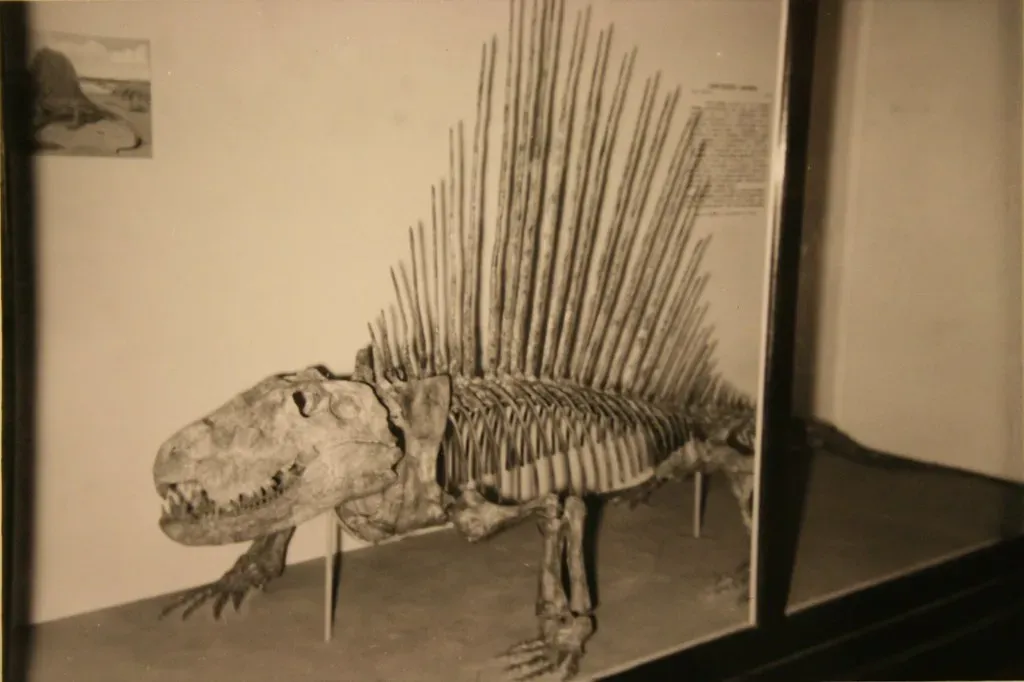 #7 - Canada's "First Dinosaur" Wasn't a Dinosaur at All (Image Credits: Flickr)