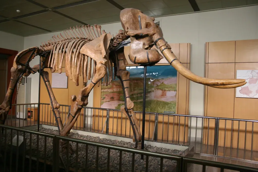 What Silenced the Giants of the American West (Image Credits: Flickr)