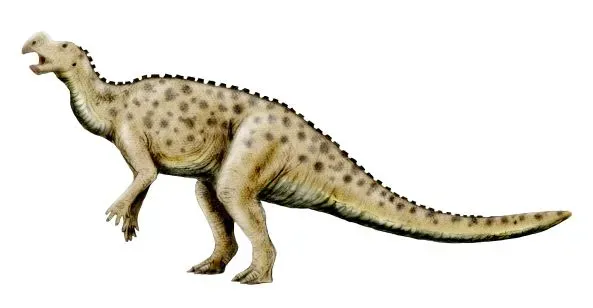 Muttaburrasaurus: Aussie Outback Shaper (Image Credits: Wikimedia)