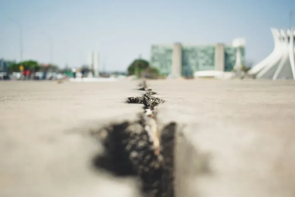 The Bottom Line (Image Credits: Pexels)