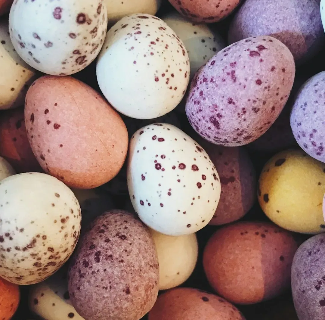 #11 - Laying Colored, Speckled Eggs Millions of Years Before the First Bird Nest (Image Credits: Unsplash)