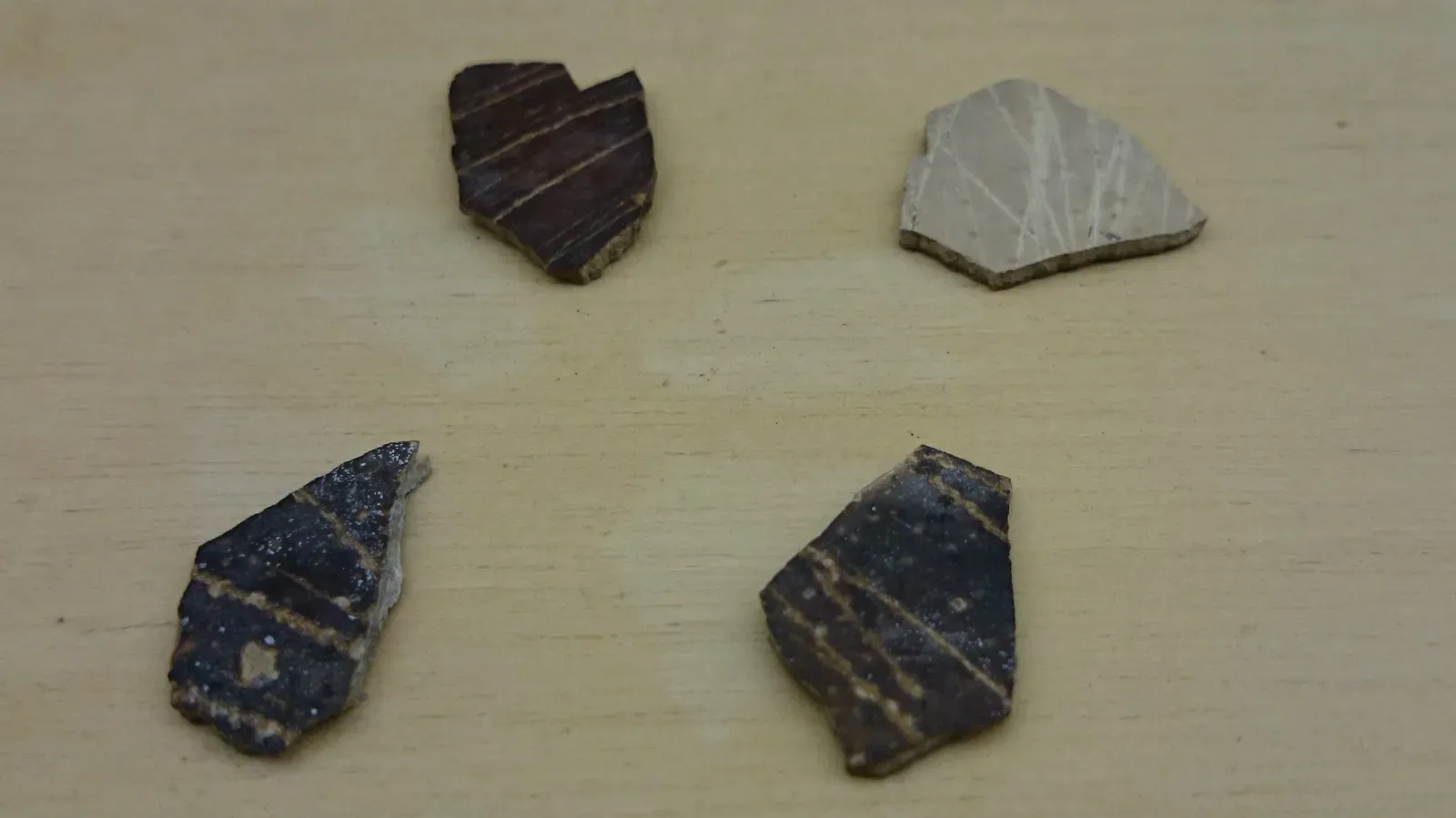 The Shocking Discovery of Dinosaur Egg Color (Image Credits: Wikimedia)