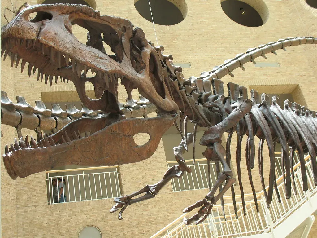 Other Large Theropods and Their Biting Power (Image Credits: Flickr)