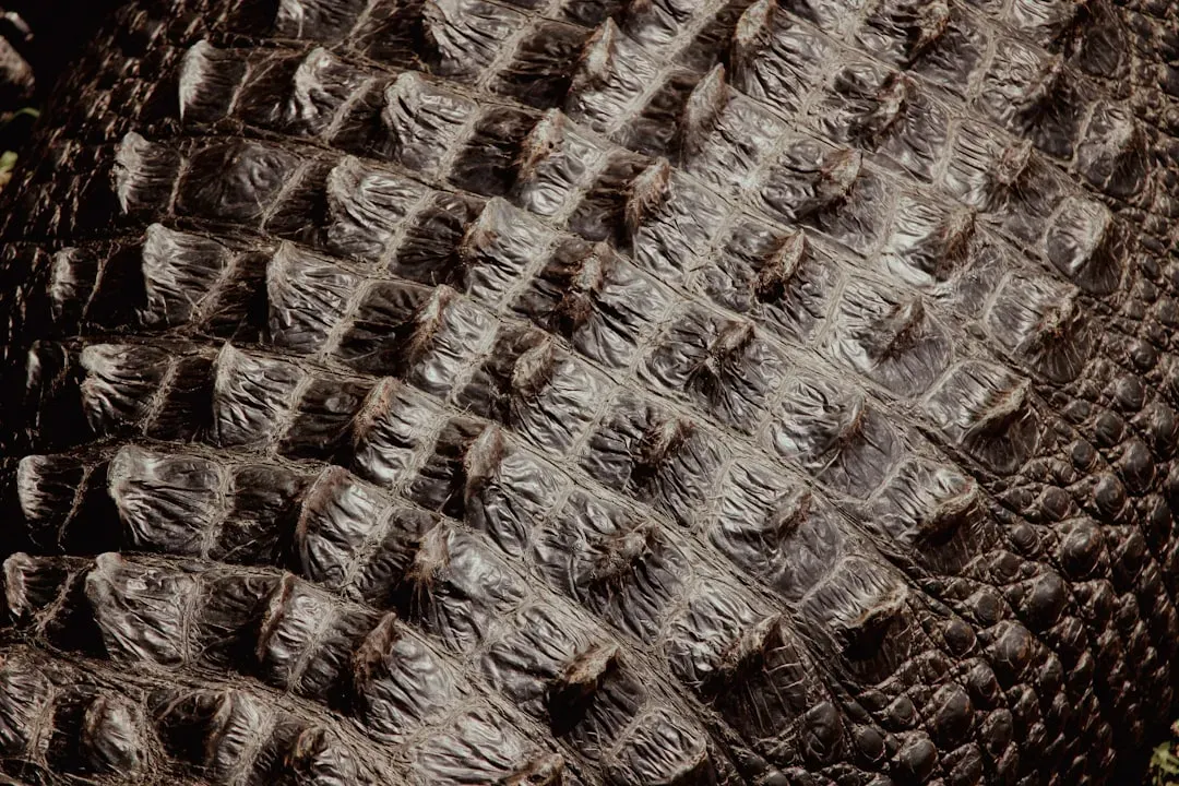 Armor, Scutes, and Natural Tank Design (Image Credits: Unsplash)