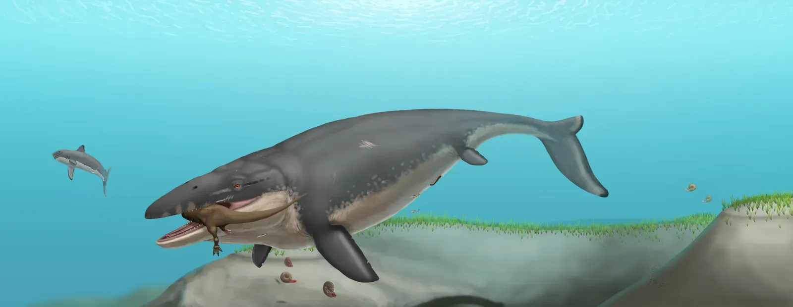 Mosasaurus: The Marine Reptile That Swallowed Prey Whole (Image Credits: Wikimedia)