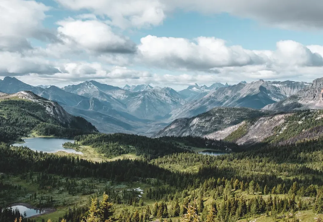 Mountain Building and the Birth of the Rockies: Dinosaur Diversity Explodes (Image Credits: Unsplash)