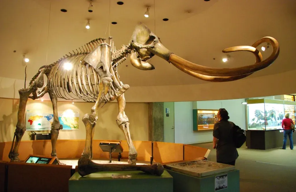 9. Zed the Columbian Mammoth at La Brea Tar Pits, Los Angeles (Long Zheng, Flickr, CC BY-SA 2.0)