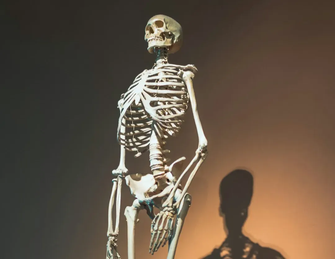 #11 - Even Ancient Prehistoric Remains Got Pulled (Image Credits: Unsplash)