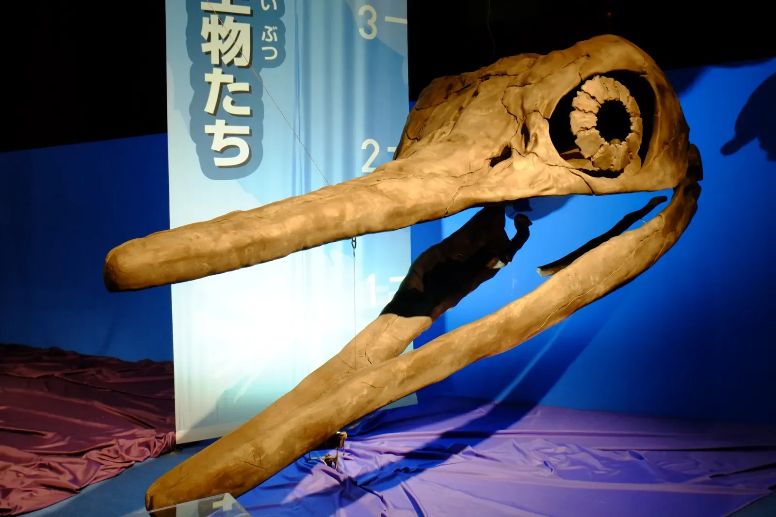 #13 - Shonisaurus, the Ichthyosaur Nevada Almost Lost to History (しょにぃ, CC BY-SA 2.0)