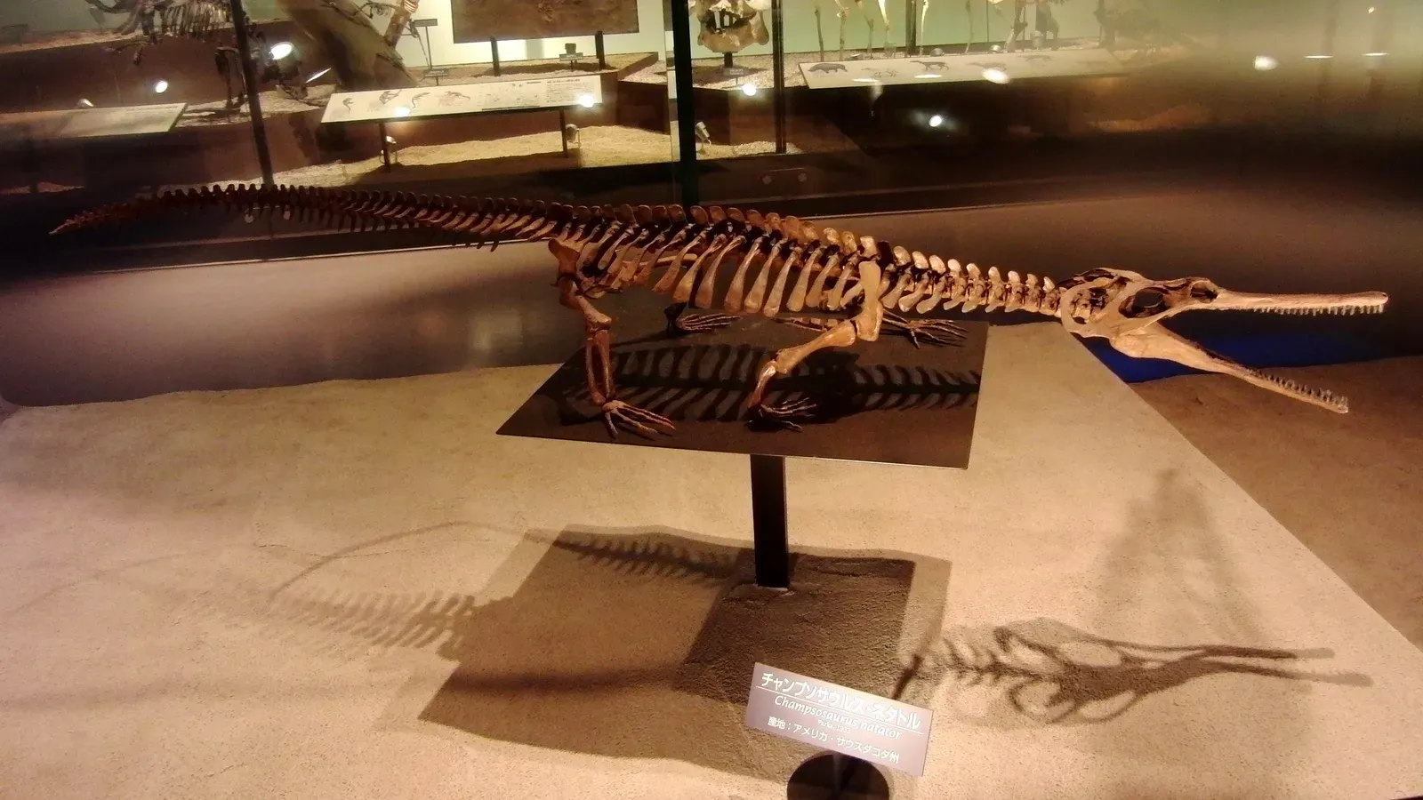 1. Champsosaurus: The Crocodile That Wasn’t (By Momotarou2012, CC BY-SA 3.0)