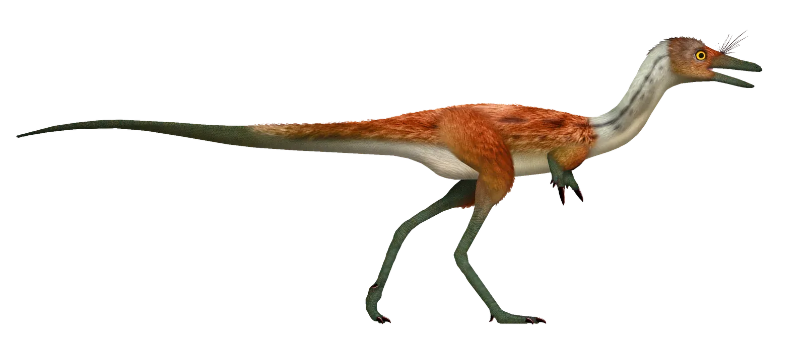 4. Dinosaurs Were Often Fast, Nimble, and Surprisingly Graceful (By TotalDino, CC BY-SA 4.0)