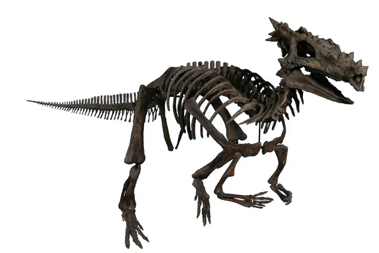 #4 - Dracorex hogwartsia (The Children's Museum of Indianapolis, CC BY-SA 3.0)