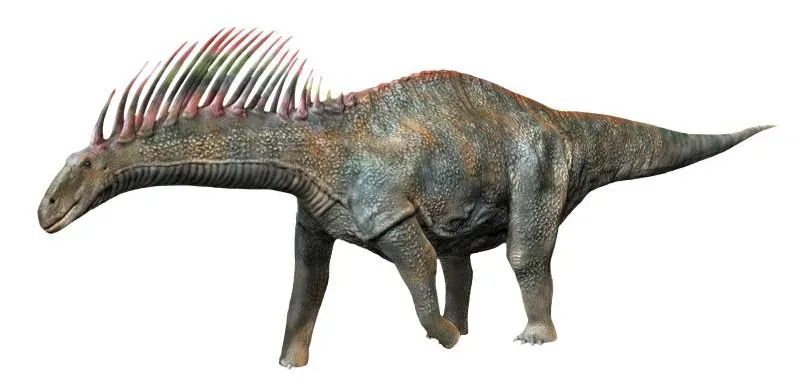 2. Amargasaurus: The Punk Rocker of Patagonia (Image Credits: Wikimedia)