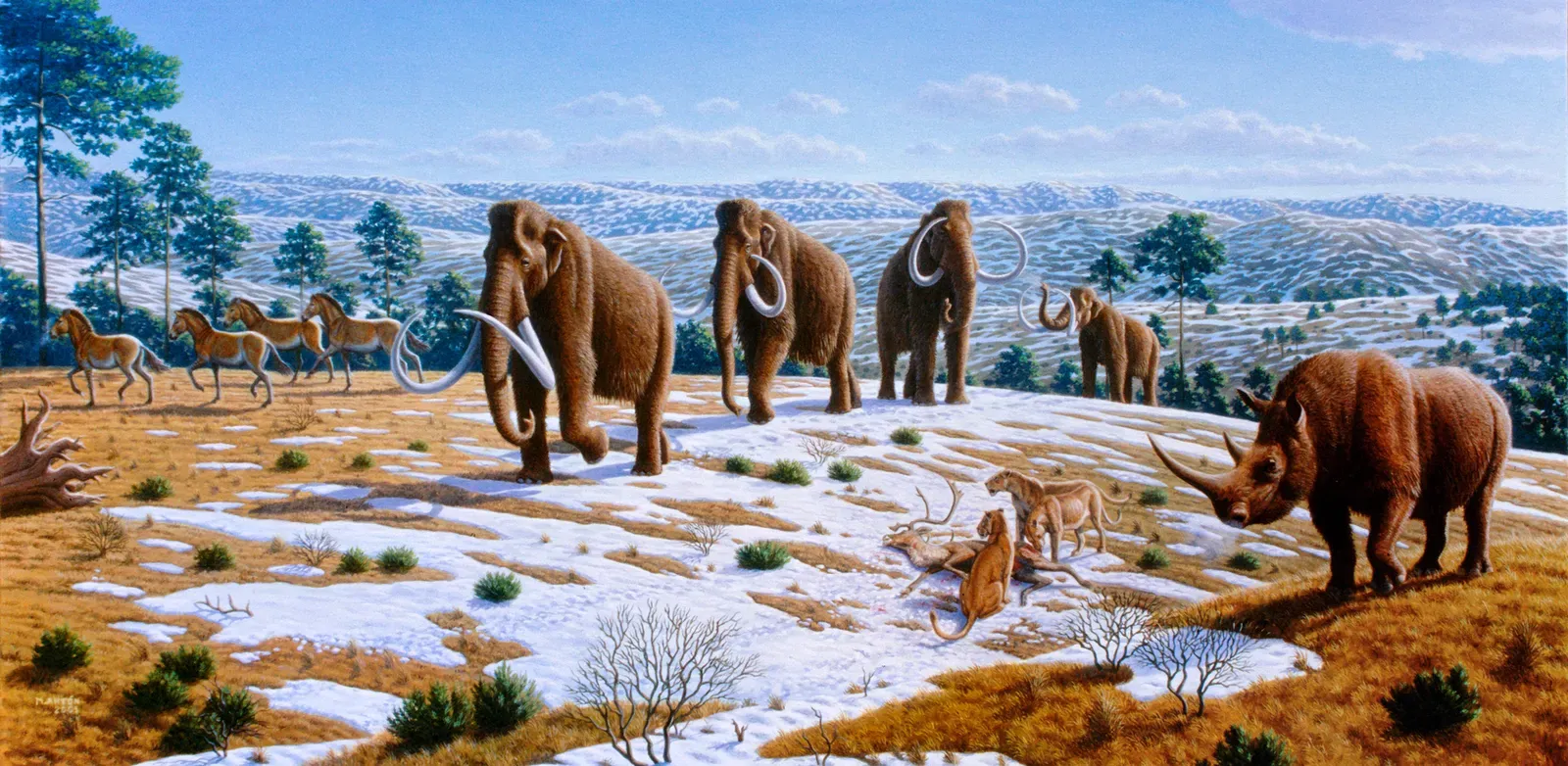 The Bottom Line (from Caitlin Sedwick (1 April 2008). "What Killed the Woolly Mammoth?". PLoS Biology 6 (4): e99. DOI:10.1371/journal.pbio.0060099., CC BY 2.5)