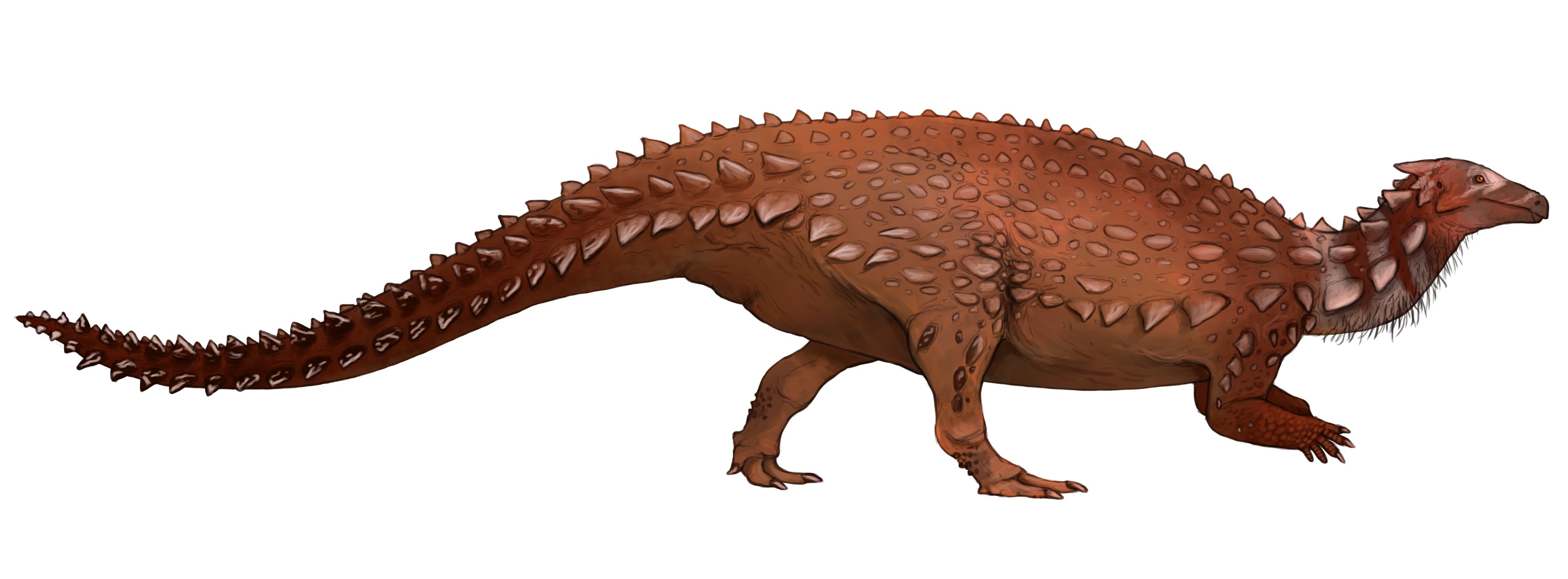 Scelidosaurus: The Pioneering Armor Bearer (Image Credits: Wikimedia)