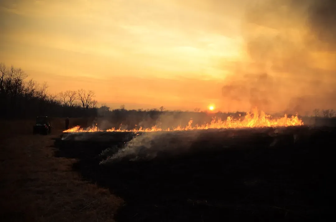 #9 - The Savanna Fire Ecology Team That Left Before the Burn Window (Image Credits: Unsplash)