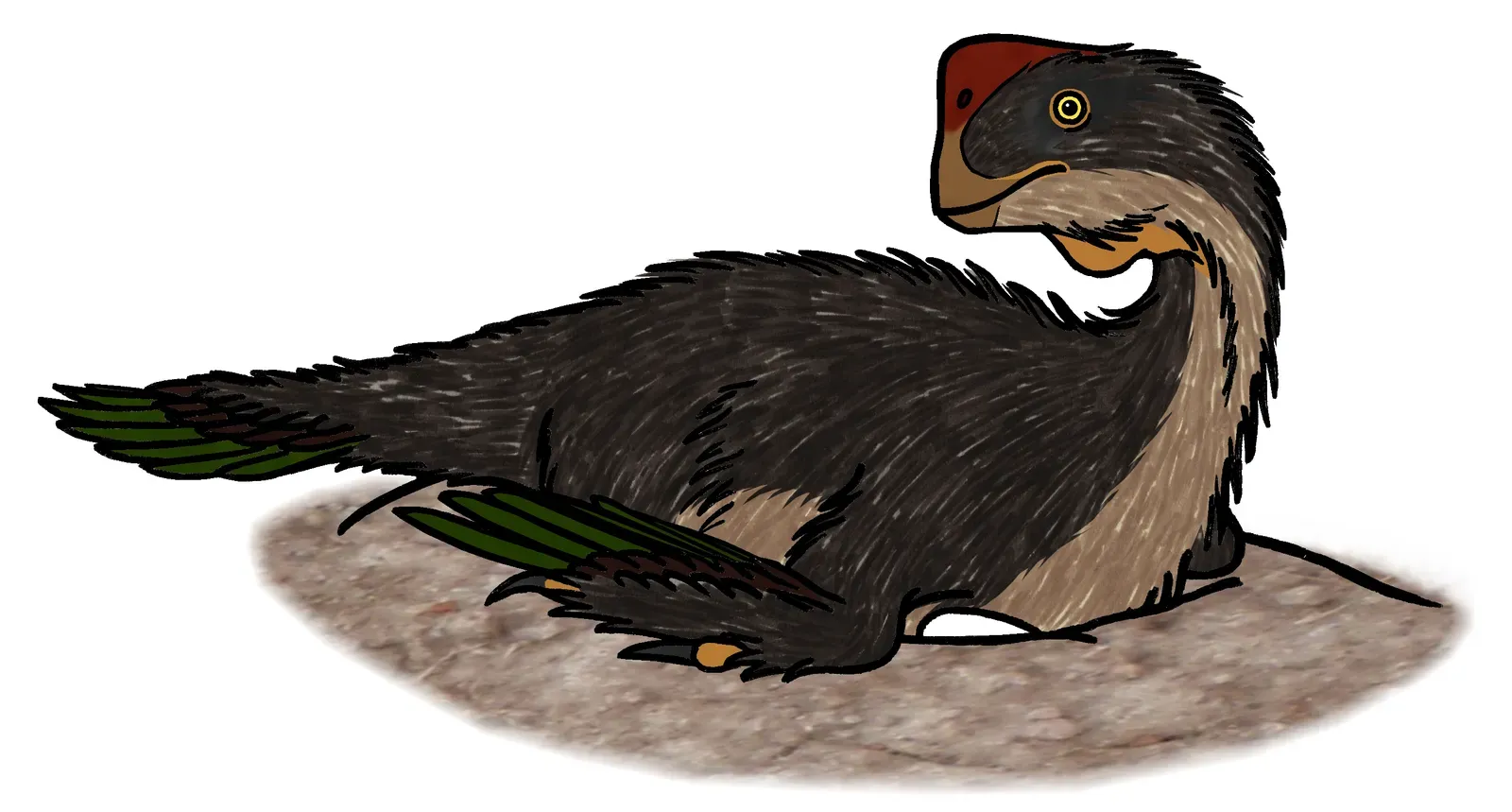 Fossilized Adults on Nests Hint at Bird‑Like Brooding (By Conty, CC BY-SA 4.0)