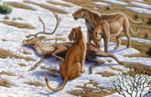 #4 - The Cave Lion, Europe's Ice Age Superpredator (By Mauricio Antón, CC BY 2.5)