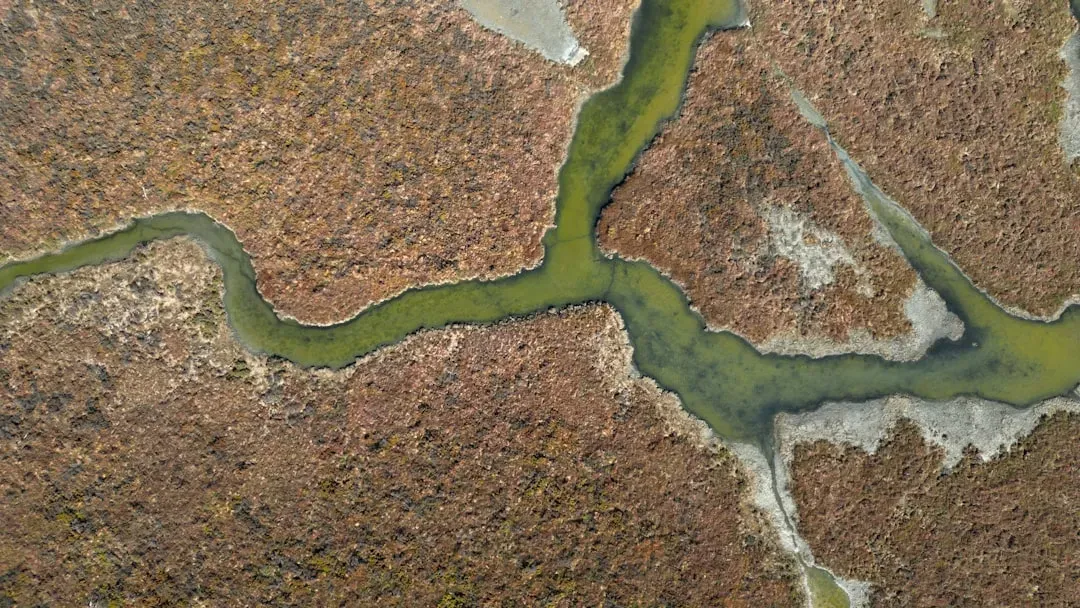 Submerged Channels: Prehistoric Rivers Now Beneath the Sea (Image Credits: Unsplash)
