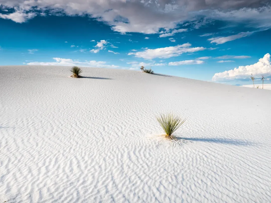 White Sands National Park, New Mexico - Where Human History Was Rewritten (Image Credits: Unsplash)