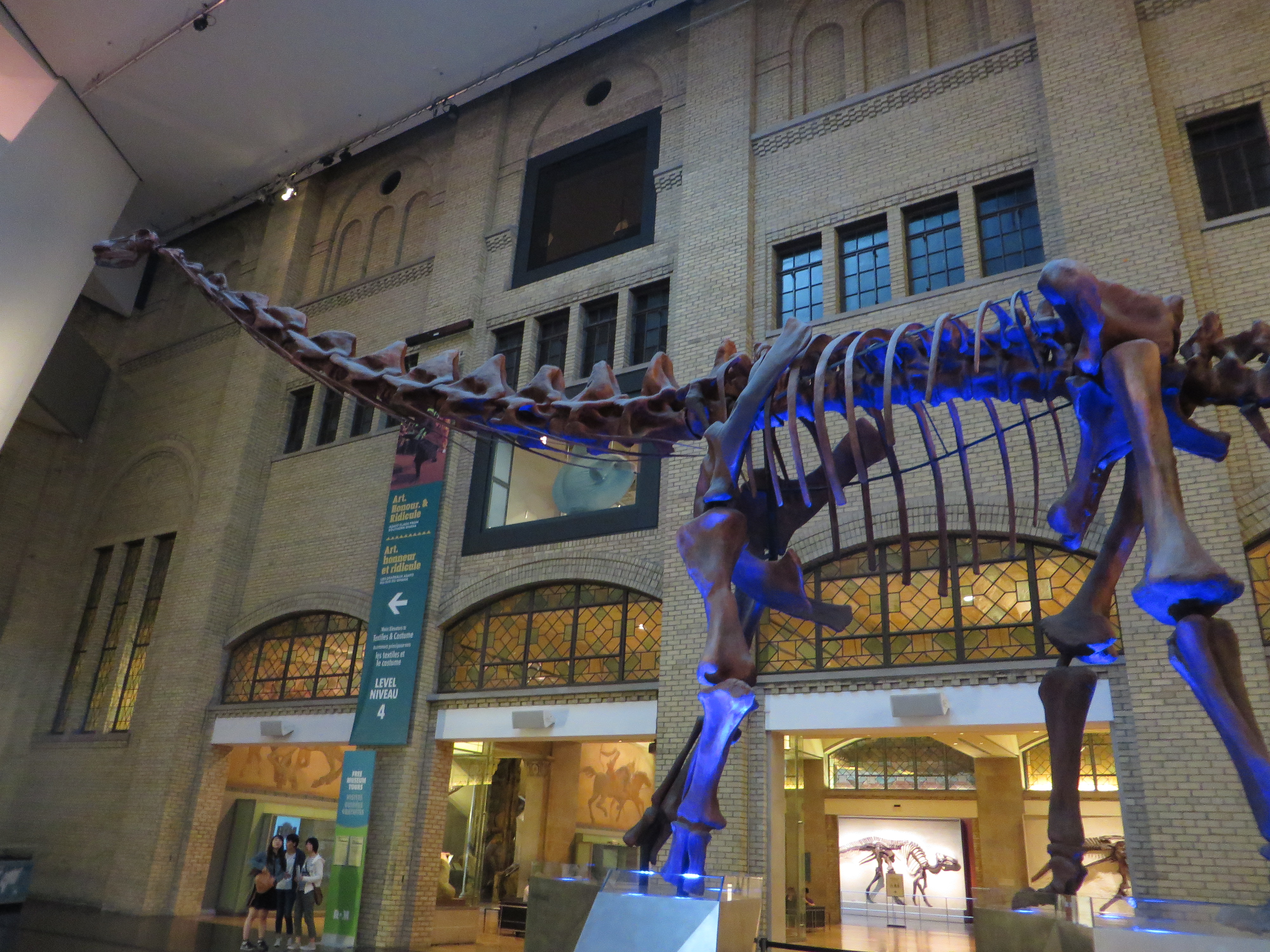 Royal Ontario Museum, Toronto: Canadian Prehistoric Wonders (Image Credits: Wikimedia)