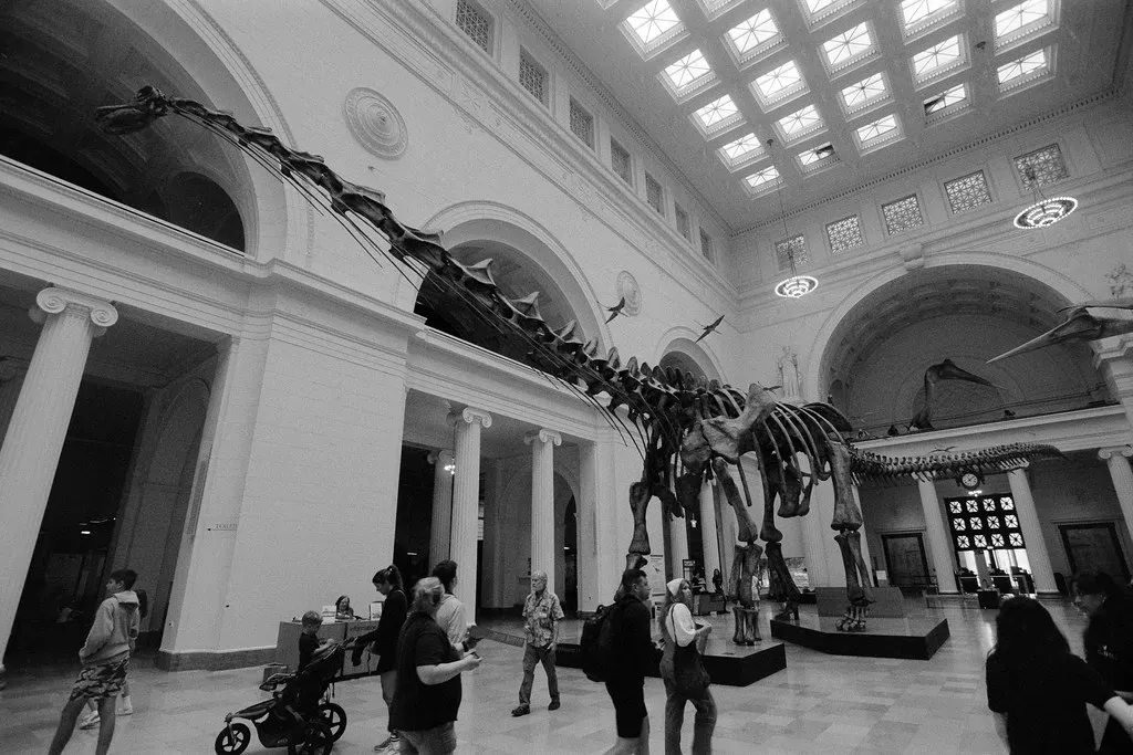 #3 - Patagotitan Forced Everyone to Recalculate What "Biggest" Even Means (bellemarematt, Flickr, CC BY-SA 2.0)