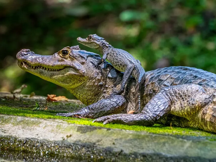 Birds and Crocodiles: Your Living Clues to Dinosaur Parenting (Image Credits: Pexels)
