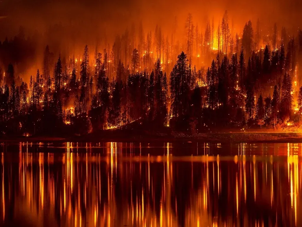 6. Forests, Prairies, and Fire Regimes That Looked Very Different (Image Credits: Rawpixel)