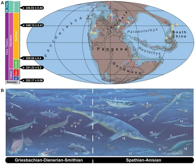 From Shoreline Stalkers To Reluctant Swimmers (Image file from Scheyer T, Romano C, Jenks J, Bucher H (2014). "Early Triassic Marine Biotic Recovery: The Predators' Perspective". PLOS ONE. DOI:10.1371/journal.pone.0088987. PMID 24647136. PMC: 3960099., CC BY 4.0)