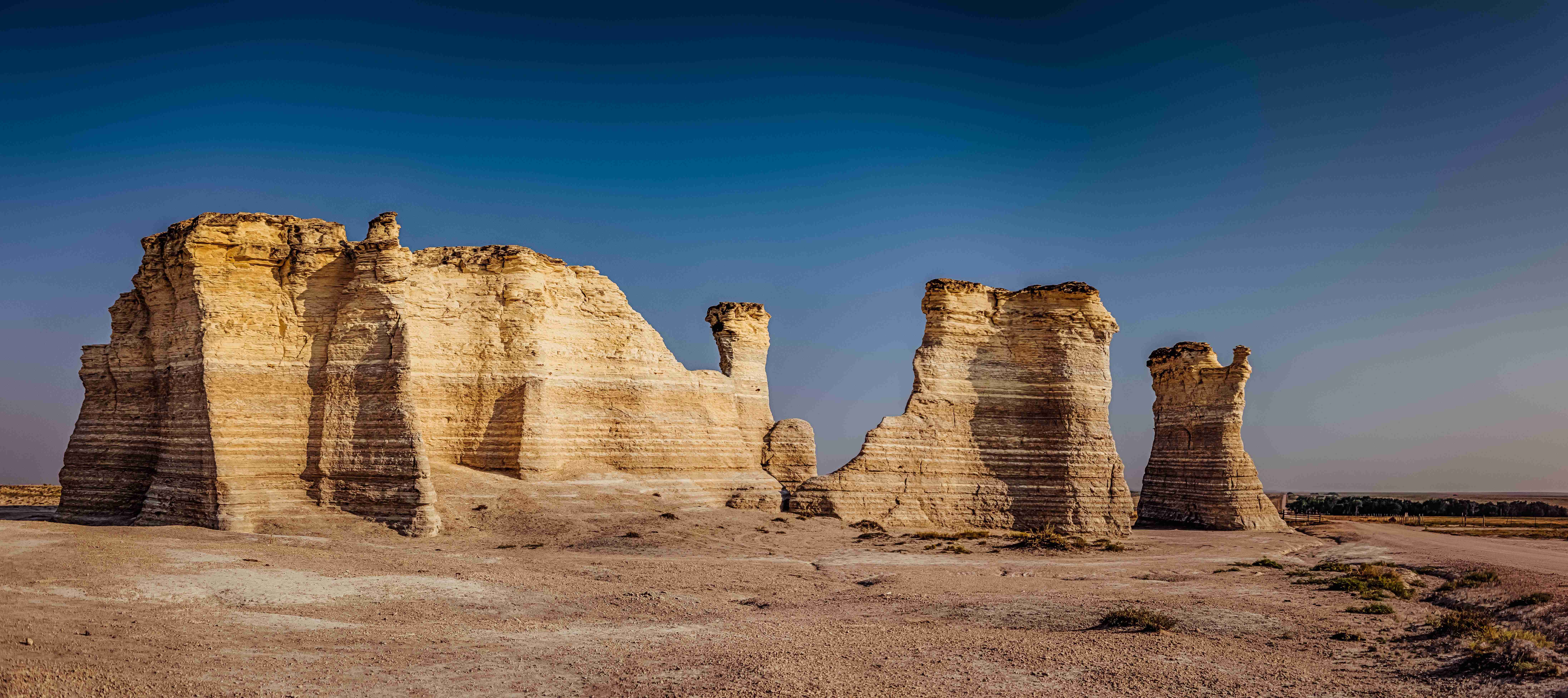 Fossil Treasures Hidden in Plain Sight (Image Credits: Wikimedia)