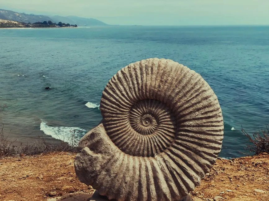 Awe, Curiosity, and the Emotional Charge of Ancient Bones (Image Credits: Pexels)