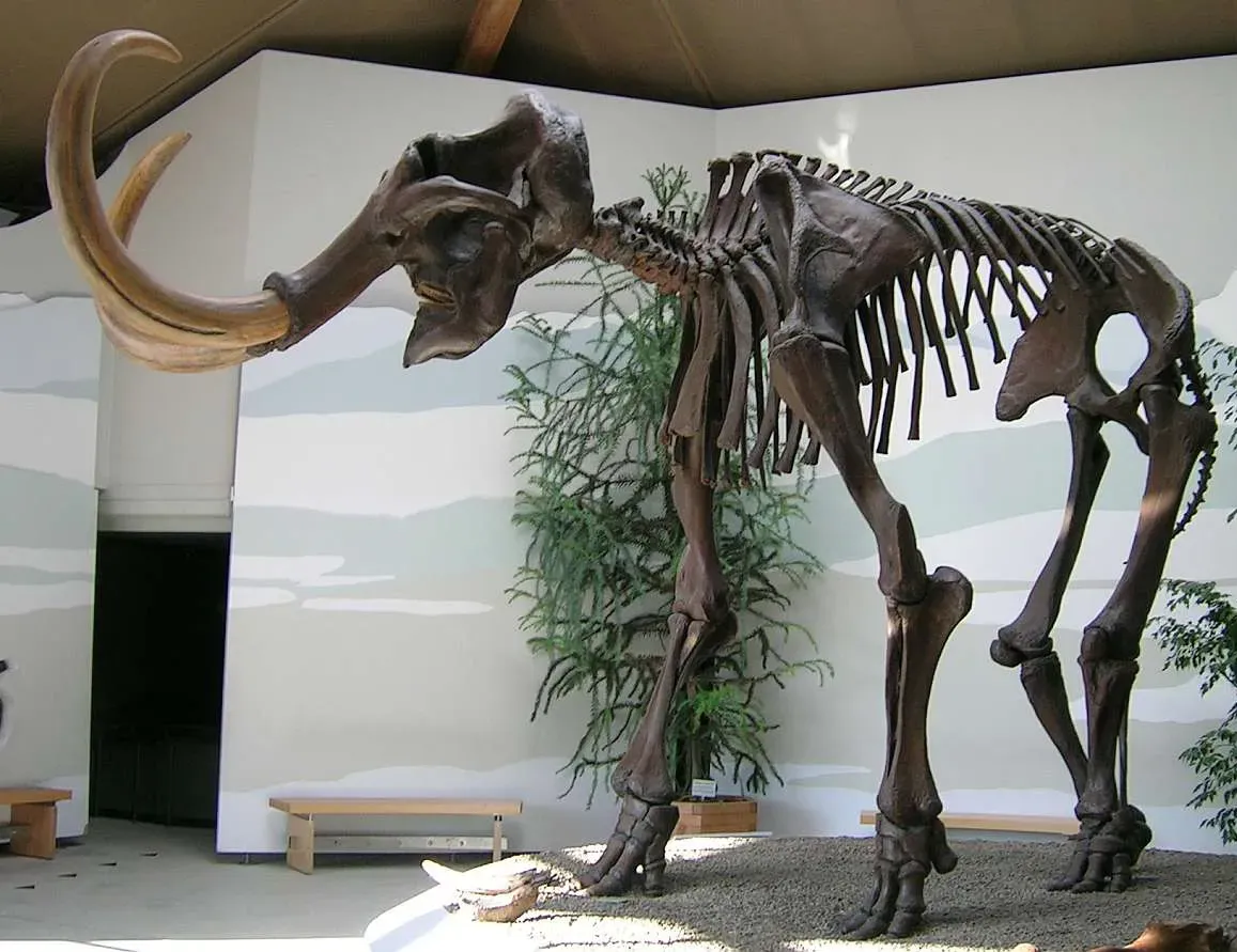 Why the real mammoth story matters more than the animated myth (By Lou.gruber, Public domain)
