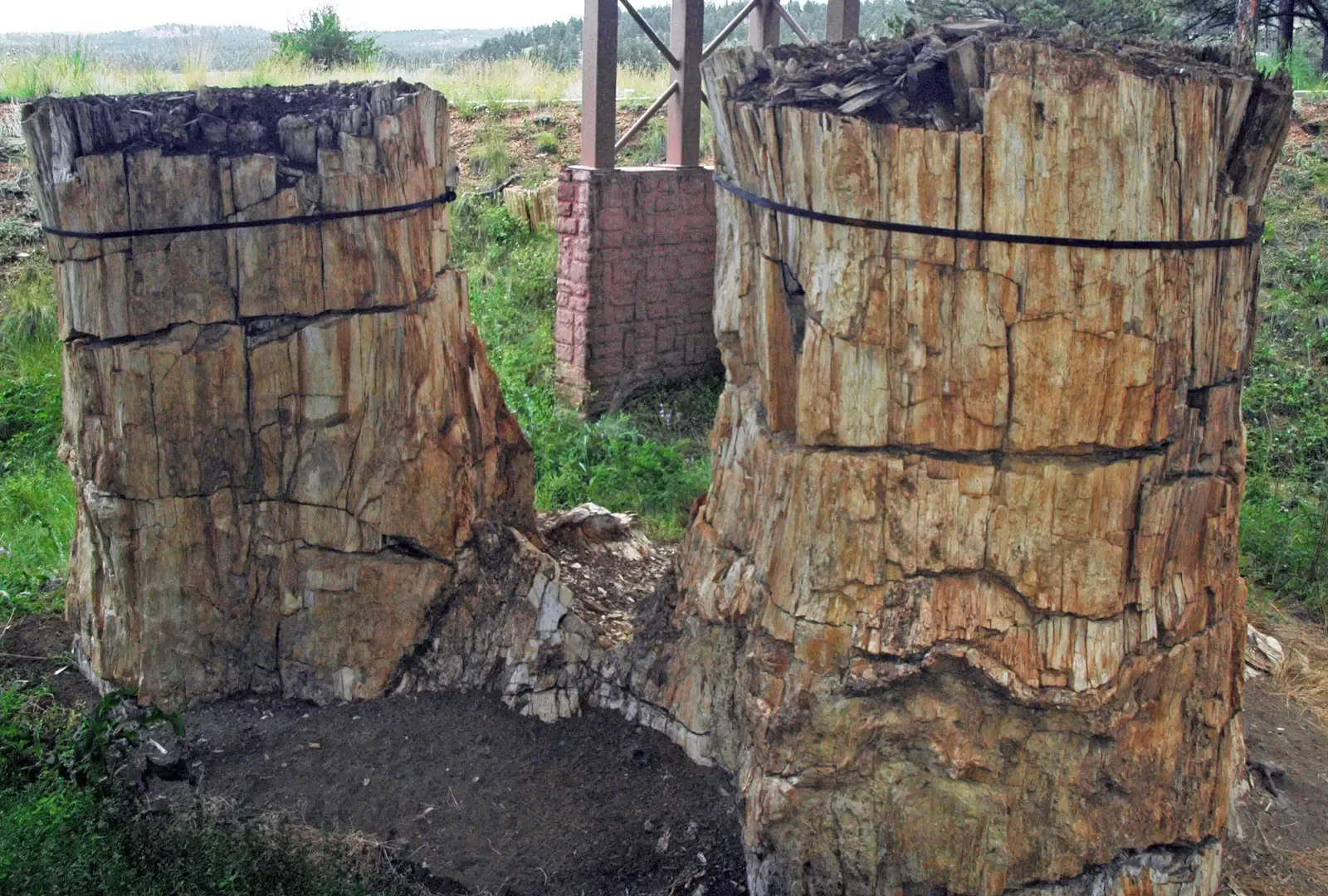 Fossil Time Capsules: How You Can Read the Story in Stone (By James St. John, CC BY 2.0)