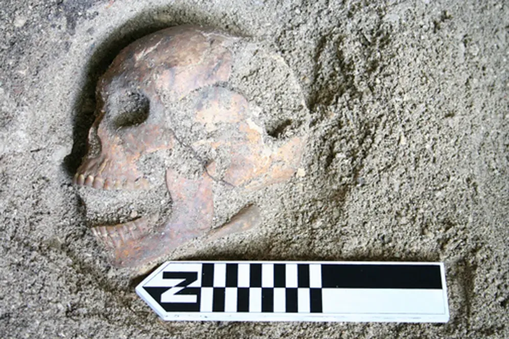 The Bottom Line (Fitzpatrick SM, Nelson GC, Clark G (2008) Small Scattered Fragments Do Not a Dwarf Make: Biological and Archaeological Data Indicate that Prehistoric Inhabitants of Palau Were Normal Sized. PLoS ONE 3(8): e3015. doi:10.1371/journal.pone.0003015, CC BY 2.5)