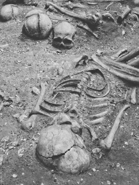 Why Neanderthal Burials Shocked Scientists In The First Place (Image Credits: Pexels)