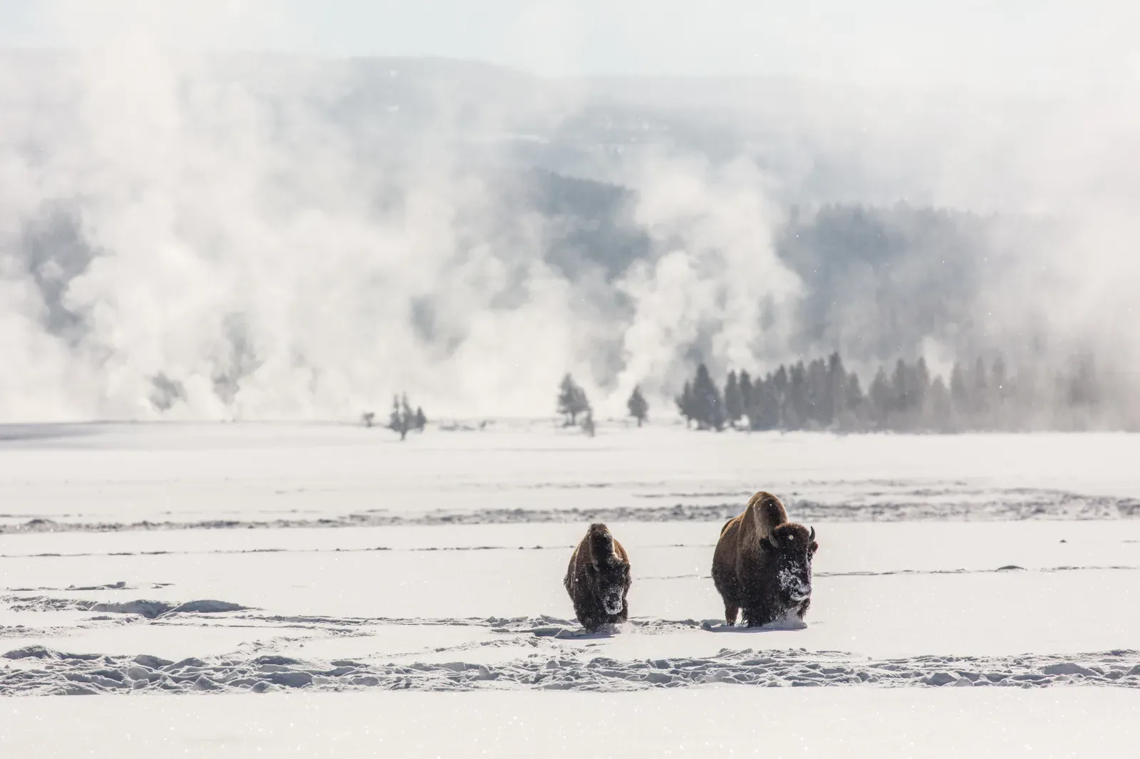 #4 - Blizzards and Sub-Zero Plains Winters (NPGallery, Public domain)