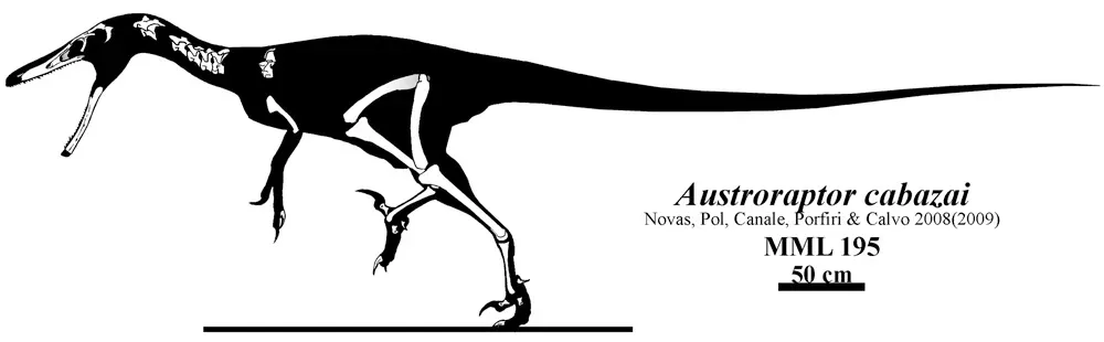 1. A Giant Raptor That Stayed Under the Radar (By Jaime A. Headden (User:Qilong), CC BY 3.0)